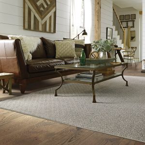 Carpet design | Terry's Floor Fashionsrs.