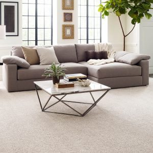 Living Room Carpet | Terry's Floor Fashions