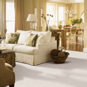 Carpet design | Terry's Floor Fashions