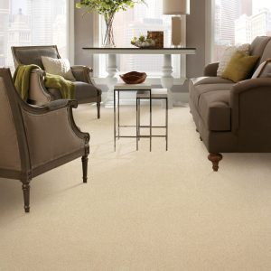 Carpet in Living Room | Terry's Floor Fashions