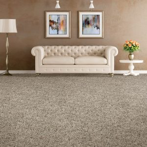 Soft Carpet | Terry's Floor Fashions