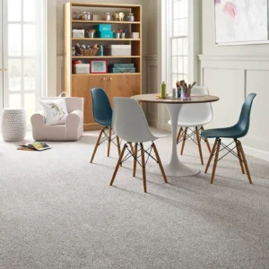 Play area Carpet Flooring | Terry's Floor Fashions