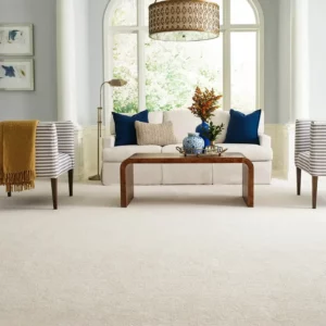 Family Room Carpet Flooring | Terry's Floor Fashions