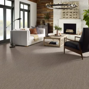 Living Space Carpet Flooring | Terry's Floor Fashions