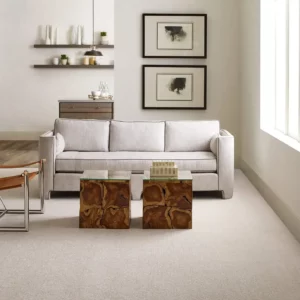 Carpet Flooring | Terry's Floor Fashions