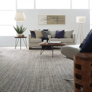 Living Area Carpet Flooring | Terry's Floor Fashions