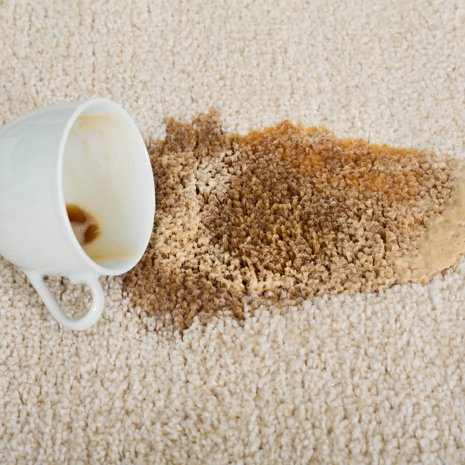 imgi_14_carpetCleaning2_1600x1600
