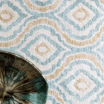 Area Rugs | Terry's Floor Fashions