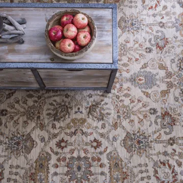 Area Rugs | Terry's Floor Fashions