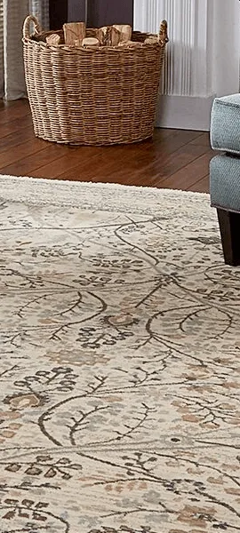 imgi_5_arearugs2 Area Rugs | Terry's Floor Fashions