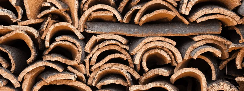 imgi_8_cork-harvesting Cork Harvesting | Terry's Floor Fashions