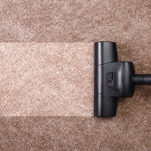 Carpet cleaning | Terry's Floor Fashions