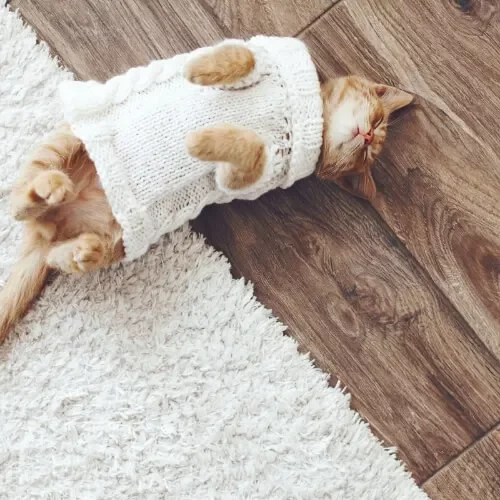 After Hardwood Installation | Terry's Floor Fashions